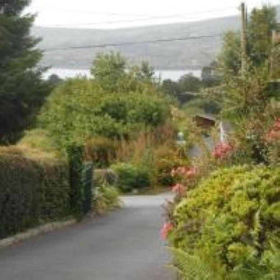 Rodeen Country House Bed and Breakfast Castletownbere Exteriör bild